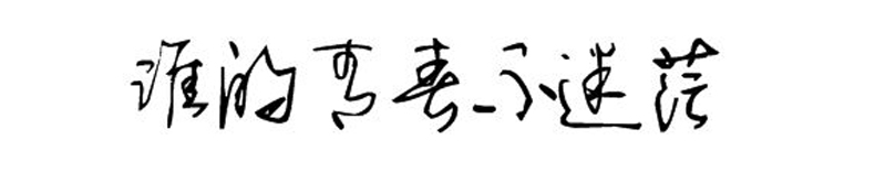 同學錄創(chuàng)意素材--誰的青春不迷茫