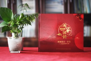 家庭及生日相冊(cè)影集定做